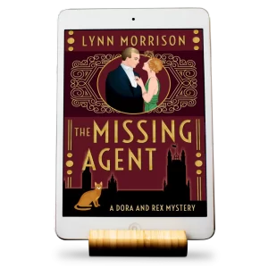 The Missing Agent by Lynn Morrison ebook