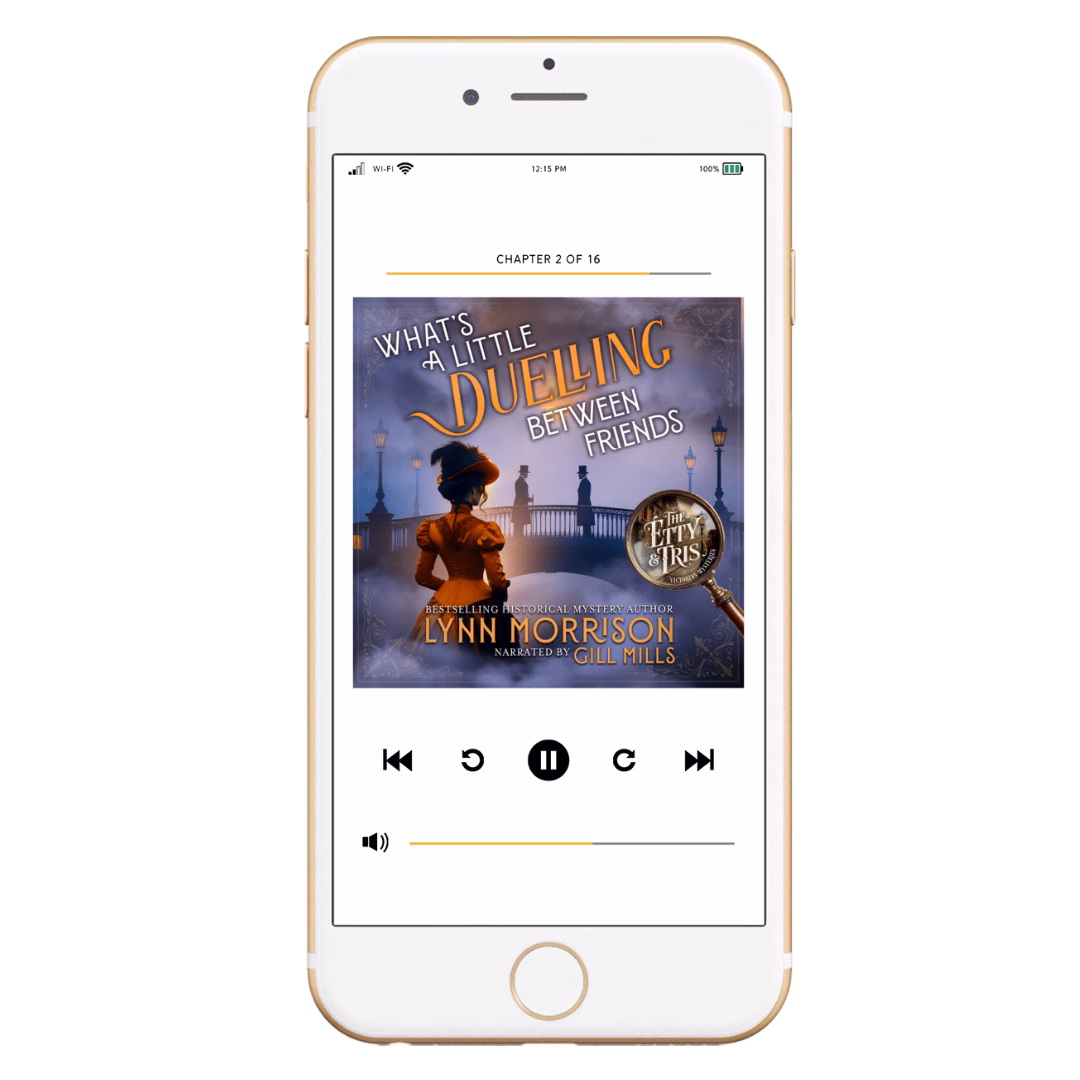 What's A Little Duelling Between Friends - audiobook
